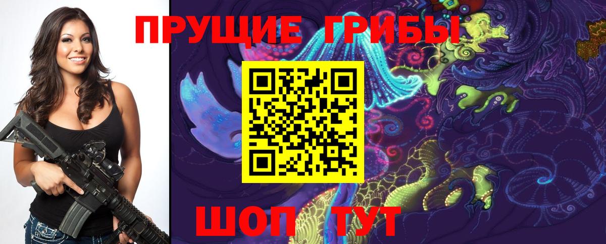 Псилоцибиновые грибы мицелий Благодарный