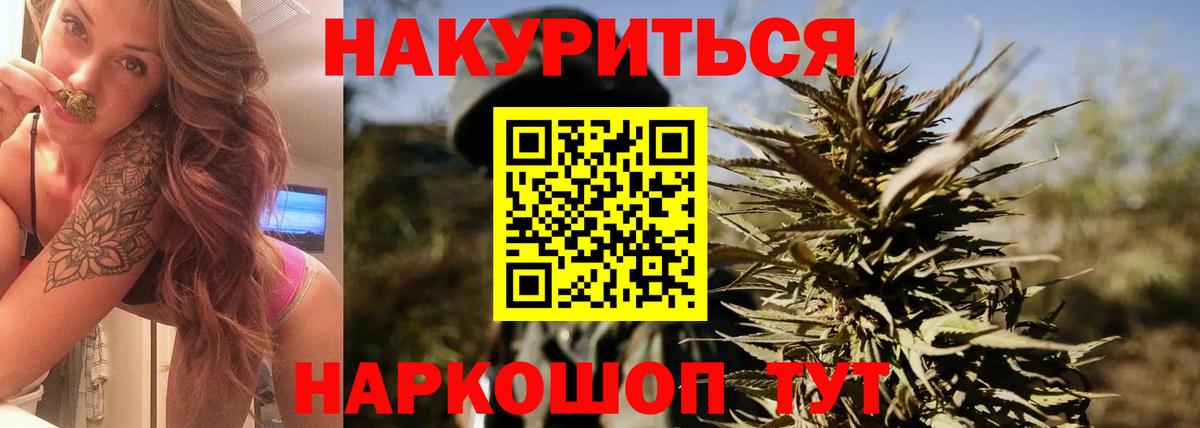 Канабис сатива  Канабис марихуана  Вход с VPN  Благодарный 